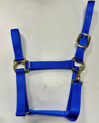 Nylon Non Adjustable Halter - Full - COB - Pony