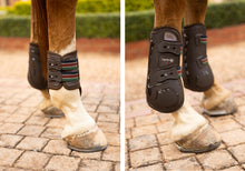 Load image into Gallery viewer, Espoir Front Tendon Boots and Rear Fetlock Boots