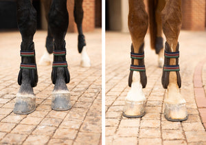 Espoir Front Tendon Boots and Rear Fetlock Boots