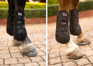 Espoir Front Tendon Boots and Rear Fetlock Boots