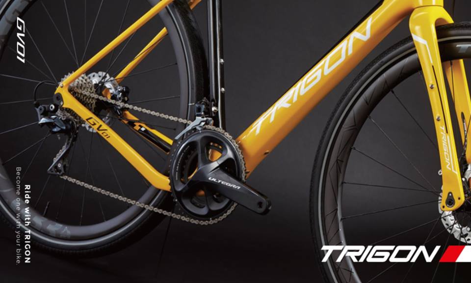 TRIGON GV01 Gravel Frame