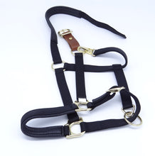 Load image into Gallery viewer, Nylon Breakaway Halter with Padded Liner - FULL Size