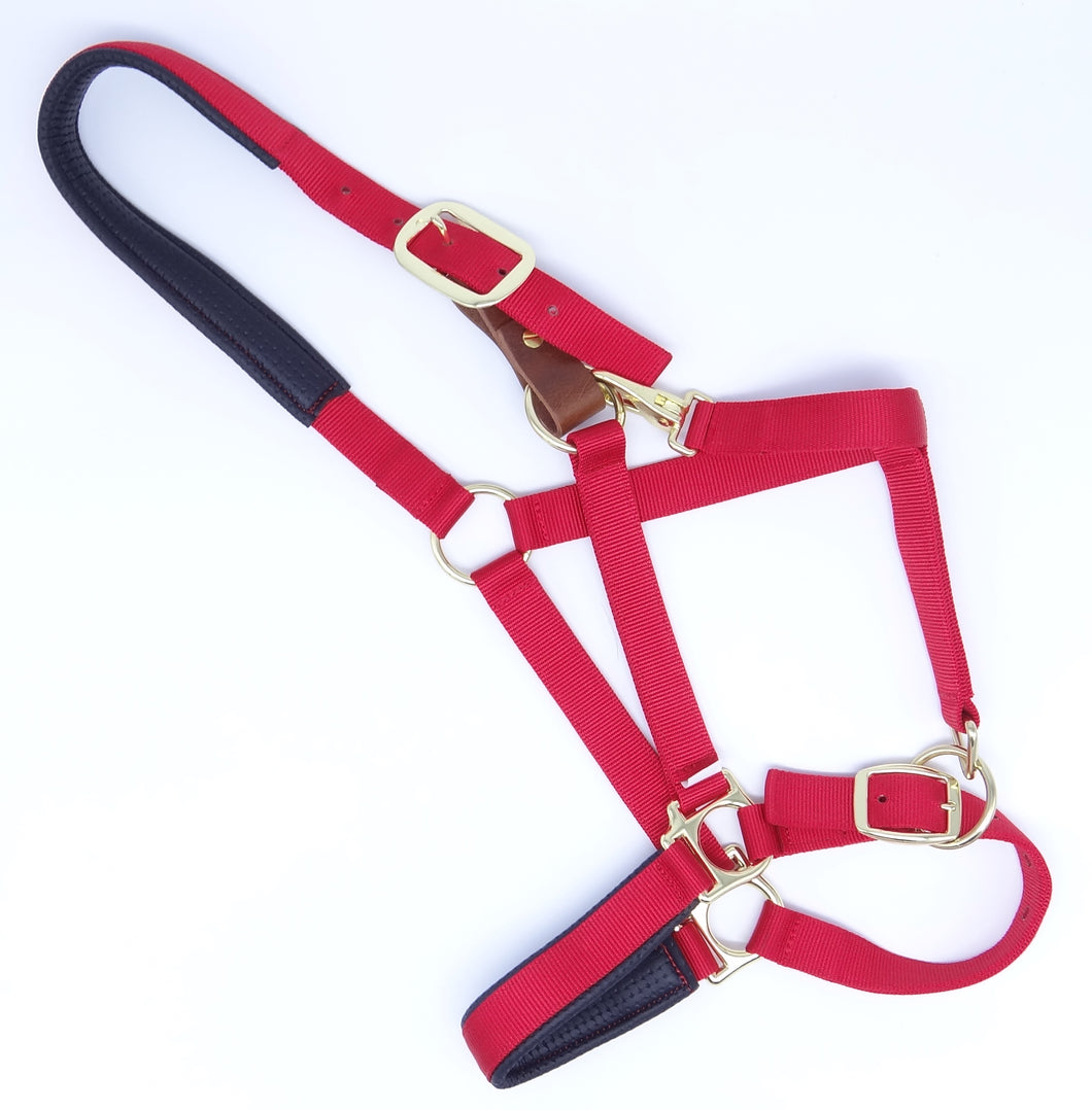 Nylon Breakaway Halter with Padded Liner - COB Size