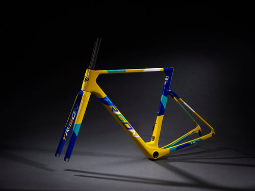 TRIGON Carbon Road Frame HC01